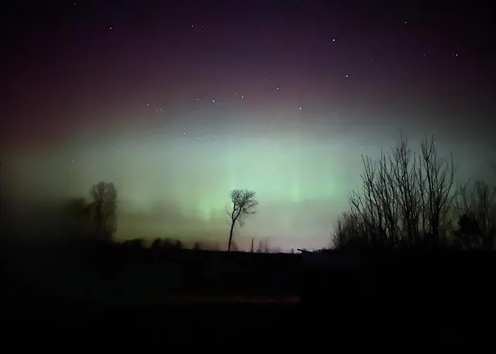 Hobu House - A Cozy, Private By The Forest Near *